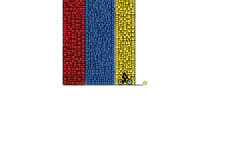 what the flag?