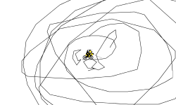 How fast can you load?