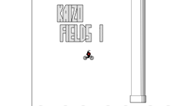 Kaizo Fields I