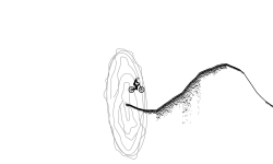 Shading test