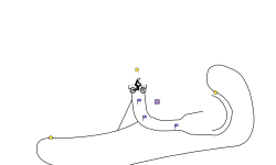 The Wrath Of The Gmail