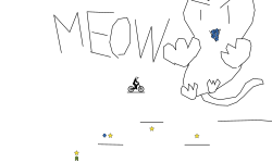 MEOW! Left or right?!