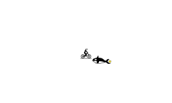 The Orca