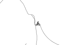 slow and steady wins the race