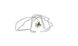 Looooooooooooooooooooop