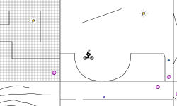 Apterostigma megacephala