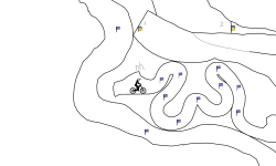 phasetree contest entry