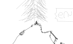 Forest mountain biking trail