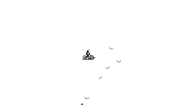 Auto 5