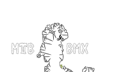 MTB BMX Auto 1