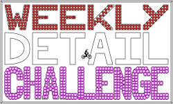 Weekly Detail Challenge [DESC]