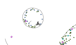 loop
