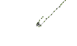 Flip Mountain of Boost Glory!!