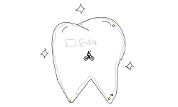 clean tooth