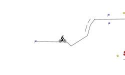 fire trail