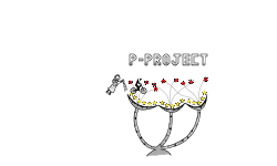 P-Project 1