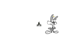 Calamity Coyote