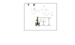You're Tall!