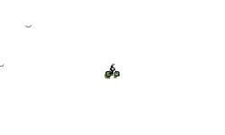 Either bike works for the auto