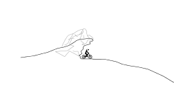 The Simple Forest BMX