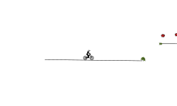 Pro rider