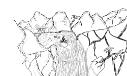 1st track detail test