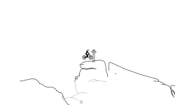 NorthShore Auto Collab