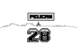 Pelican 28