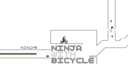 Ninja With Bicycle