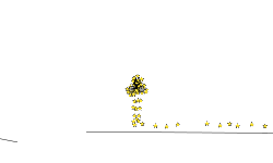 Dave49's 100 Stars Quest