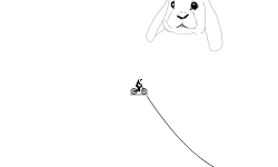 the bunny