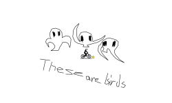 These are birds