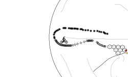 Testing freerider.app